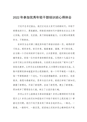2022年参加优秀年轻干部培训班心得体会.docx