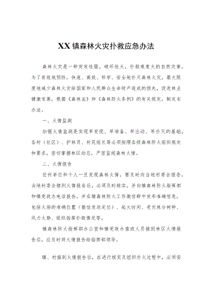 XX镇森林火灾扑救应急办法.docx