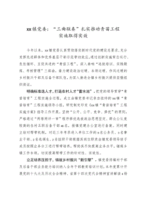 XX镇党委：“三曲联奏”扎实推动青苗工程实施取得实效.docx