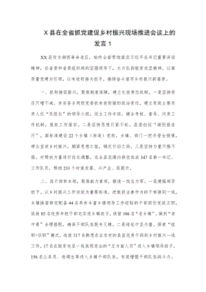 X县在全省抓党建促乡村振兴现场推进会议上的发言2篇.docx