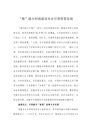 “数”通万村强建设 央企引领智慧发展.docx