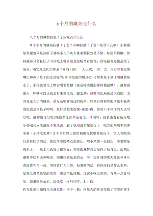8个月的藏獒吃什么.docx
