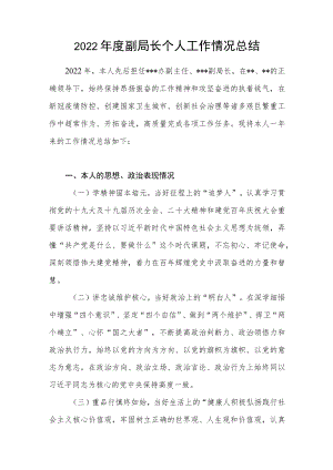 2022年度副局长个人工作情况总结.docx