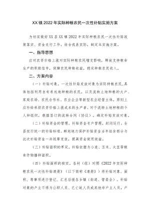XX镇2022年实际种粮农民一次性补贴实施方案.docx