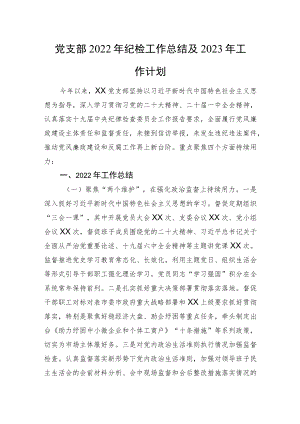 党支部2022年纪检工作总结及2023年工作计划.docx