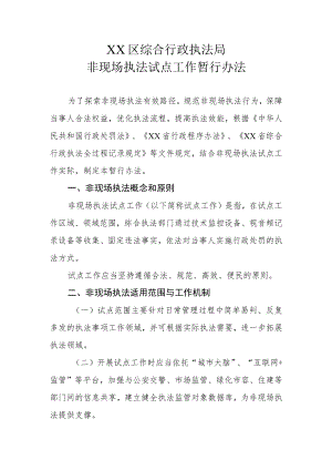 XX区综合行政执法局非现场执法试点工作暂行办法.docx