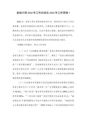 2022年度区县统计局工作总结2023年工作思路计划2篇.docx