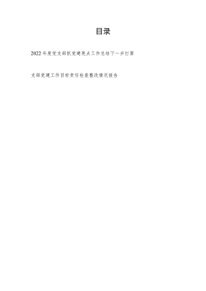 2022年度党支部抓党建亮点工作总结下一步打算和支部党建工作目标责任检查整改情况报告.docx