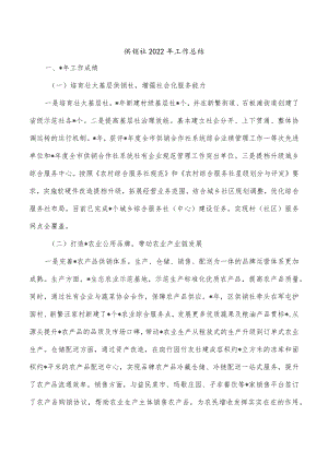 供销社2022年工作总结.docx