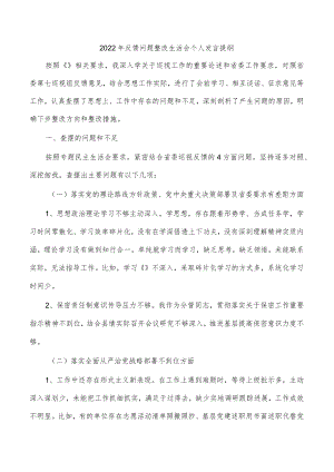 2022年反馈问题整改生活会个人发言提纲.docx