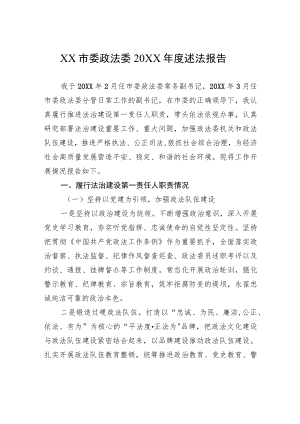 XX市委政法委20XX年度述法报告（20220513）.docx