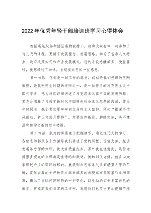 2022年参加全省系统青年干部培训班心得体会九篇合集.docx