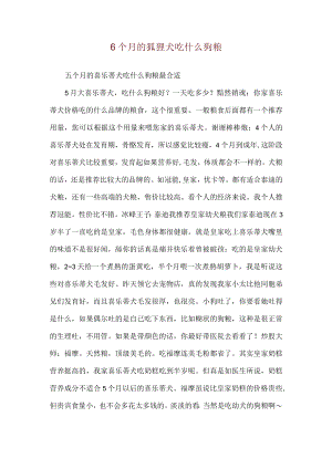 6个月的狐狸犬吃什么狗粮.docx