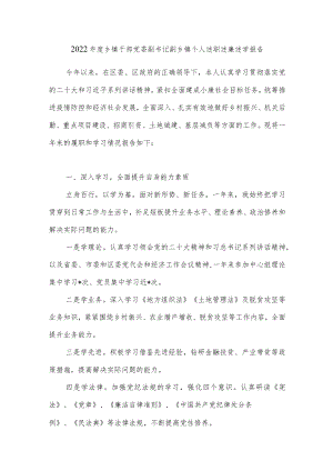 2022年度乡镇干部党委副书记副乡镇个人述职述廉述学报告.docx