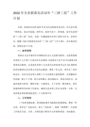 2022年全县抓落实活动年“三拼三促”工作计划.docx