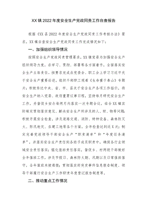 XX镇2022年度安全生产党政同责工作自查报告.docx