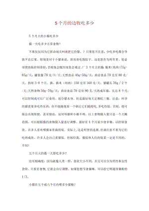 5个月的边牧吃多少.docx