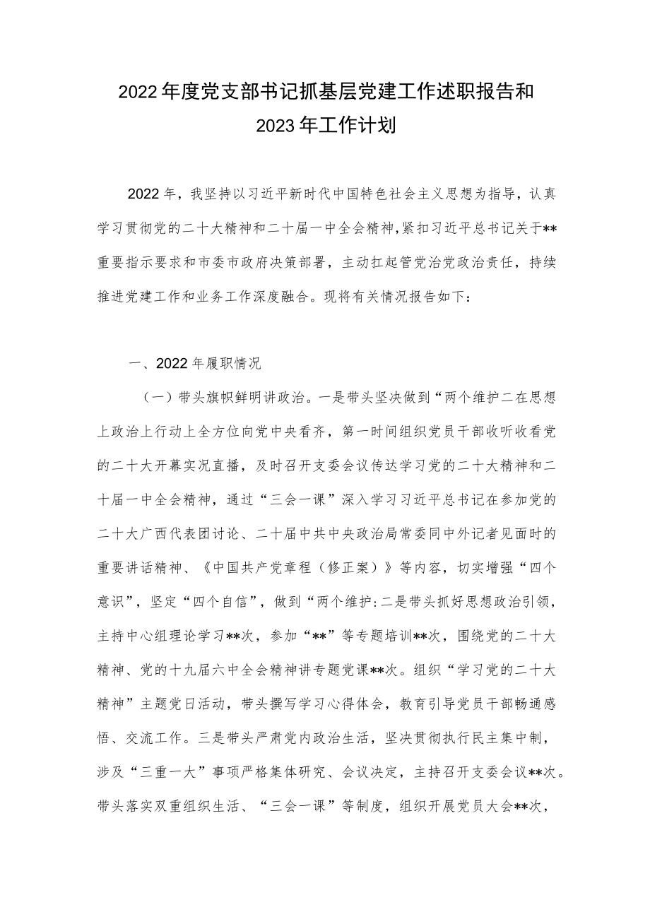 2022年度党支部书记抓基层党建工作述职报告和2023年工作计划.docx_第1页