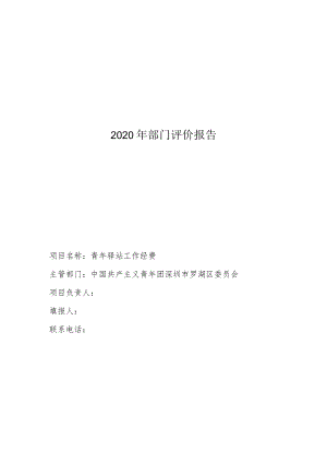 2020年部门评价报告.docx