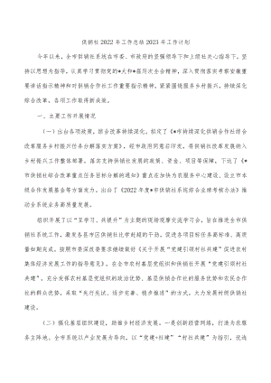 供销社2022年工作总结2023年工作计划.docx