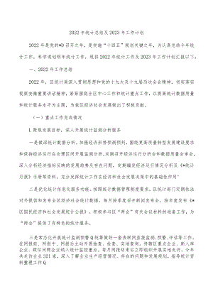 2022年统计总结及2023年工作计划.docx