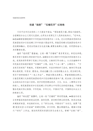 党建经验交流材料（选篇）.docx