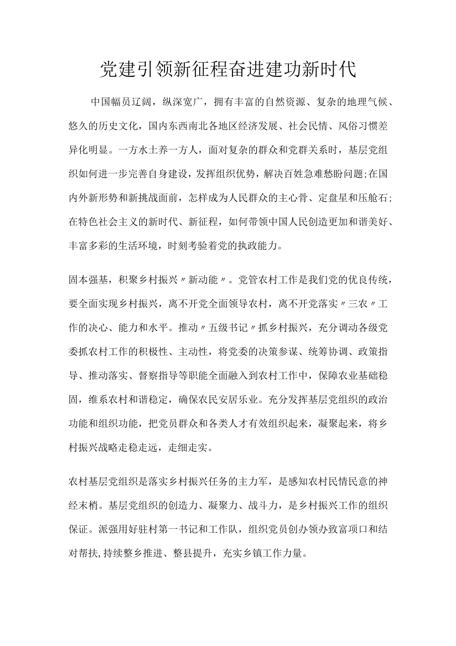 党建引领新征程奋进建功新时代.docx_第1页