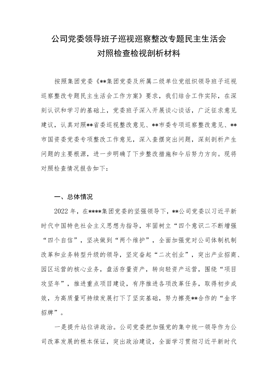 2022-2023年国企公司党委领导班子巡视巡察整改专题民主生活会对照检查检视剖析材料.docx_第1页