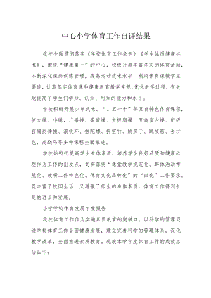 中心小学体育工作自评结果.docx