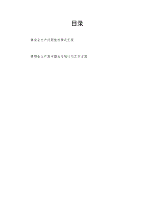 2022年乡镇安全生产问题整改情况汇报和安全生产集中整治专项行动工作方案.docx