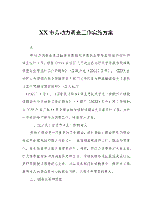 XX市劳动力调查工作实施方案.docx