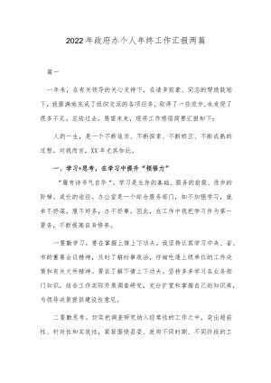 2022年政府办个人年终工作汇报两篇.docx