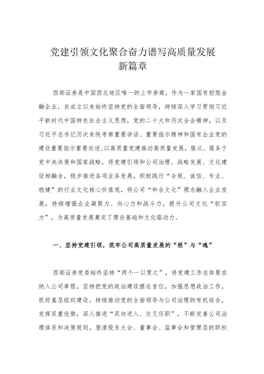 党建引领 文化聚合 奋力谱写高质量发展新篇章.docx_第1页