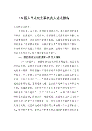 XX区人民法院主要负责人述法报告（20220228）.docx