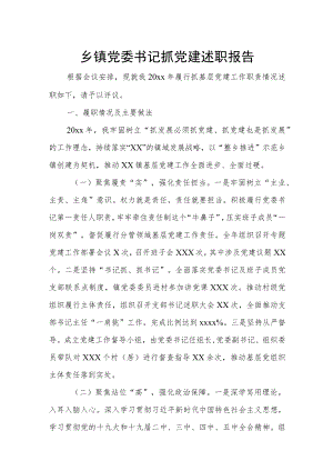 乡镇党委书记抓党建述职报告.docx