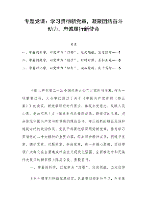 专题党课：学习贯彻新党章凝聚团结奋斗动力忠诚履行新使命.docx