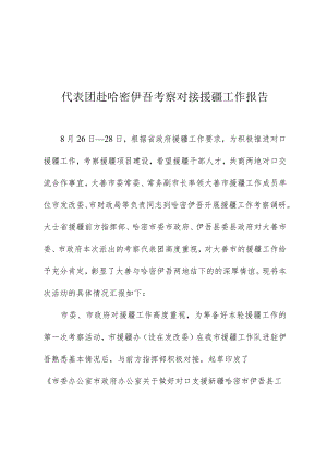 代表团赴哈密伊吾考察对接援疆工作报告.docx