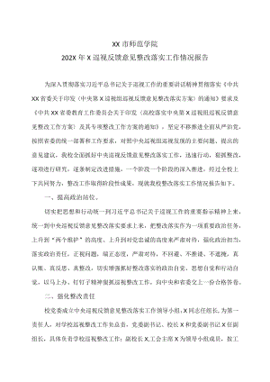 XX市师范学院202X年X巡视反馈意见整改落实工作情况报告.docx