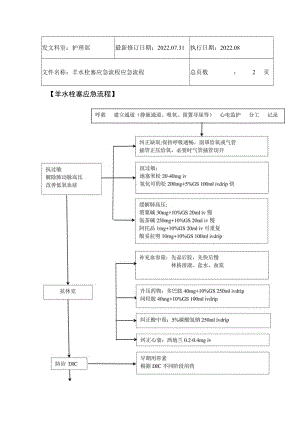 2022年9月《羊水栓塞应急流程应急流程》.docx