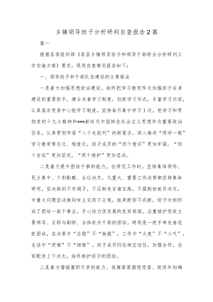 乡镇领导班子分析研判自查报告2篇.docx