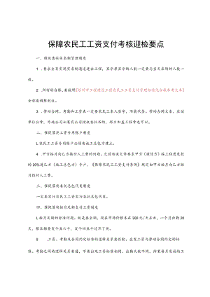 保障农民工工资考核迎检要点（重要）.docx