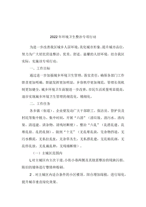 2022年环境卫生整治专项行动.docx