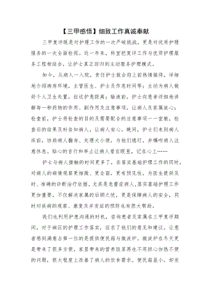 【三甲感悟】细致工作真诚奉献.docx