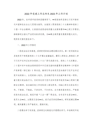 2022年党建工作总结及2023年工作计划.docx