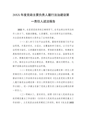 20XX年度党政主要负责人履行法治建设第一责任人述法报告（20220628）.docx
