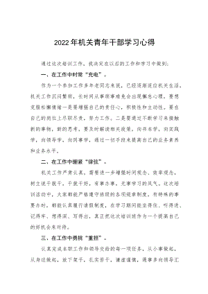 2022年年轻干部理论学习心得体会九篇模板.docx