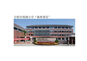 《巢湖研学记》课例材料：巢湖研学记过程.docx