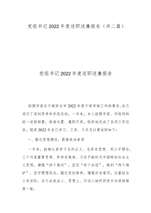 党组书记2022年度述职述廉报告(共二篇).docx
