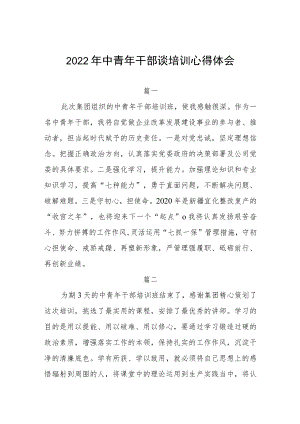 2022年中青年干部谈培训心得体会四篇.docx