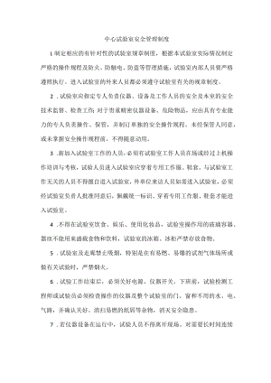 中心试验室安全管理制度.docx